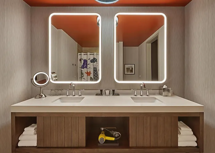 Hotel Hyatt Centric Magnificent Mile 4*